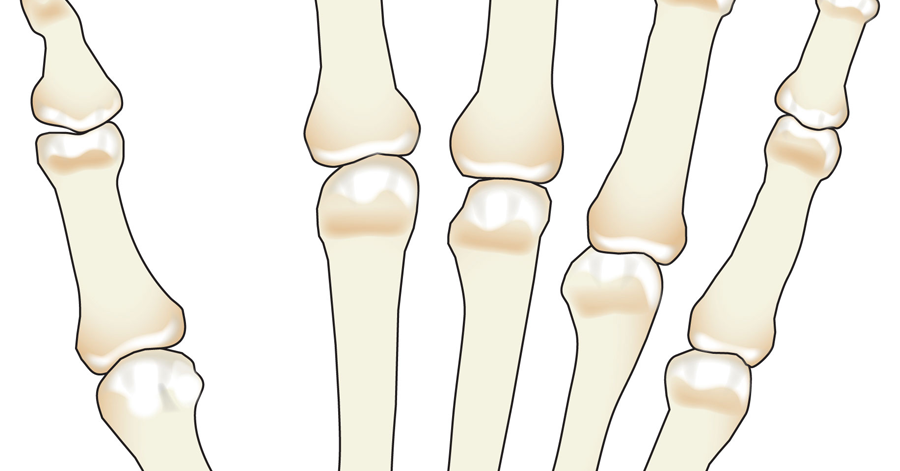 Healthy Street - FUNCTIONAL POSITIONS OF HAND A. In the power grip, when  grasping an object, the metacarpophalangeal (MP) and interphalangeal (IP)  joints are flexed, but the radiocarpal and midcarpal joints are